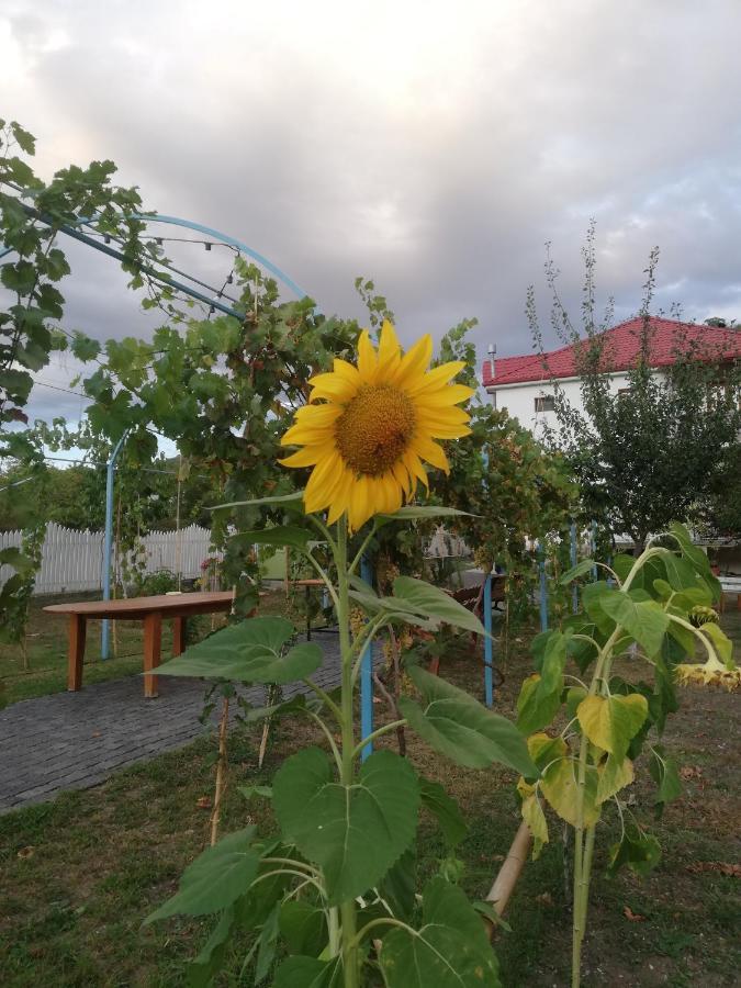 Villa "Zepuri" Dushet'i Kültér fotó