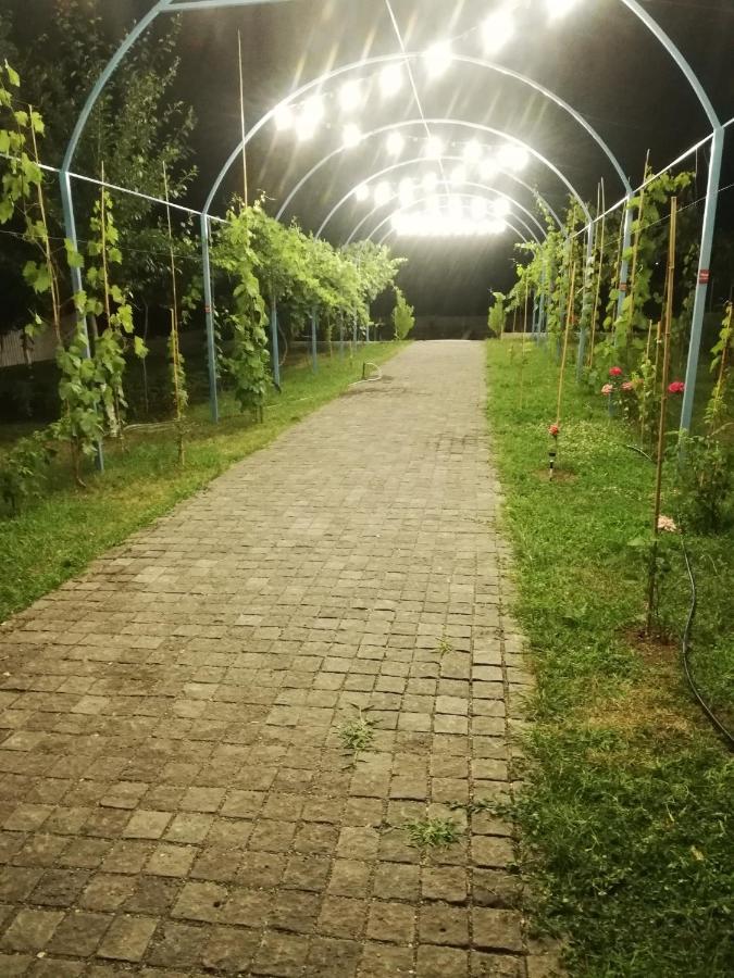 Villa "Zepuri" Dushet'i Kültér fotó